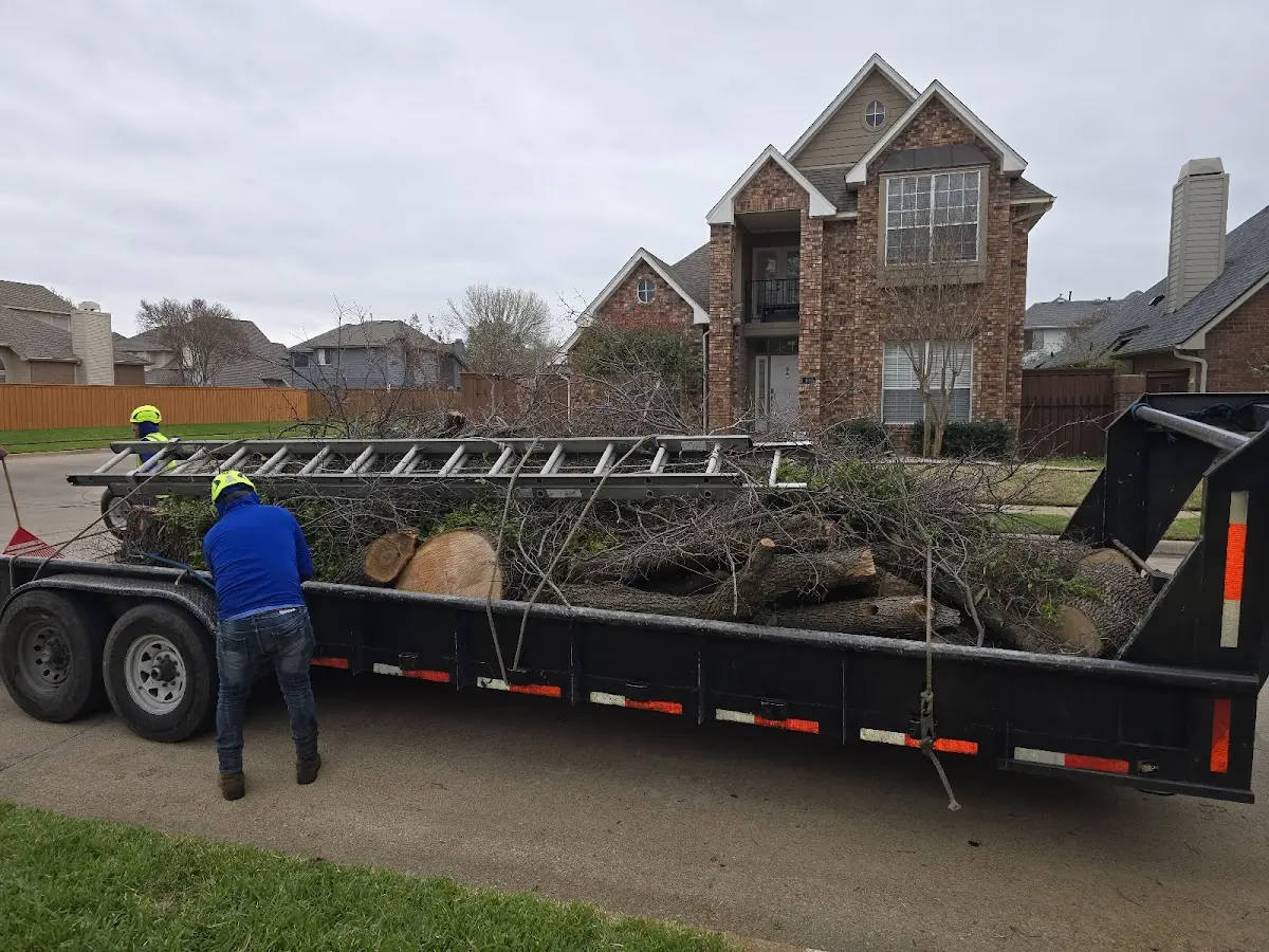 Expert Tree Fertilization with proper safety equipment in Califon